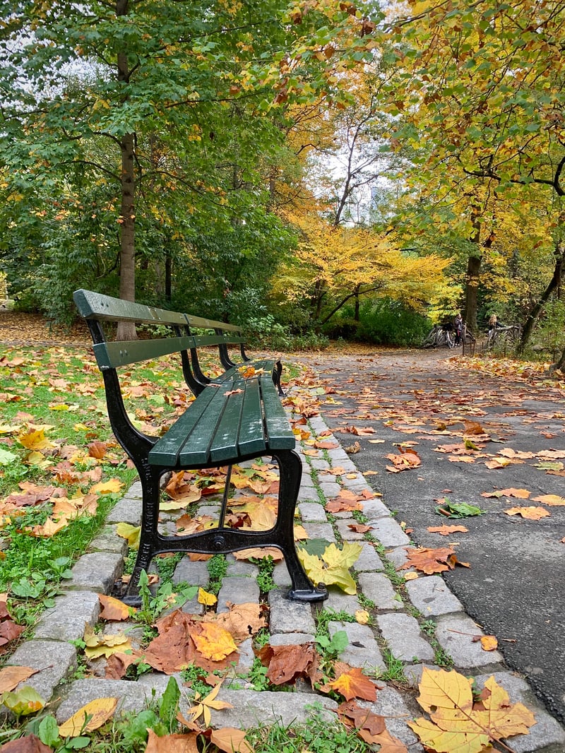 An Anthology Of Styles For Outdoor Spaces preview 18